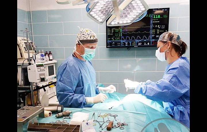 Veterinář během operace. 