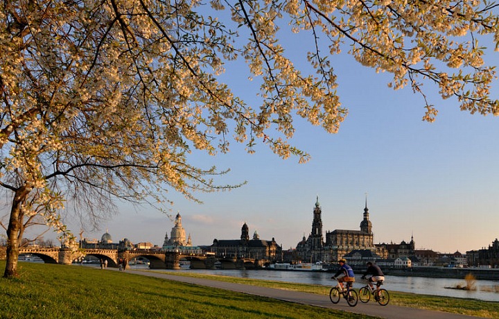 Stezka Elberadweg podél Labe s výhledy na město.