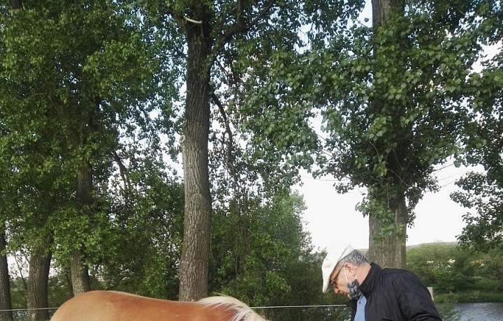 Lubomír Zaorálek s koněm