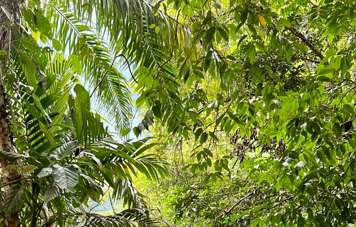 Život v Kostarike sa nesie v pokojnom tempe.
