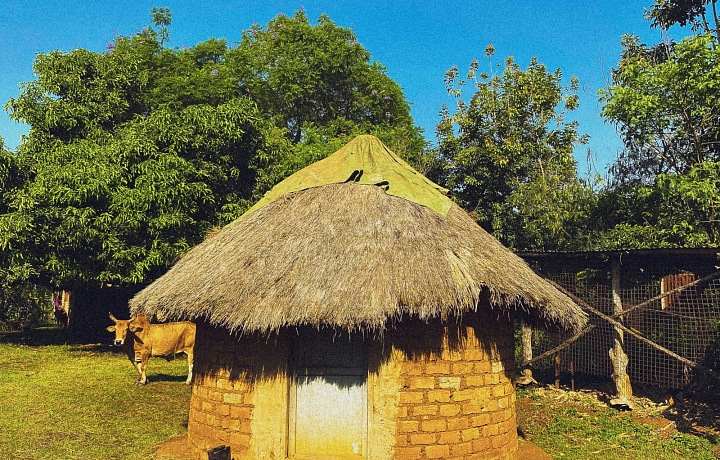 Občania Zimbabwe sú známi svojou silnou vôľou, odolnosťou a komunitným duchom.