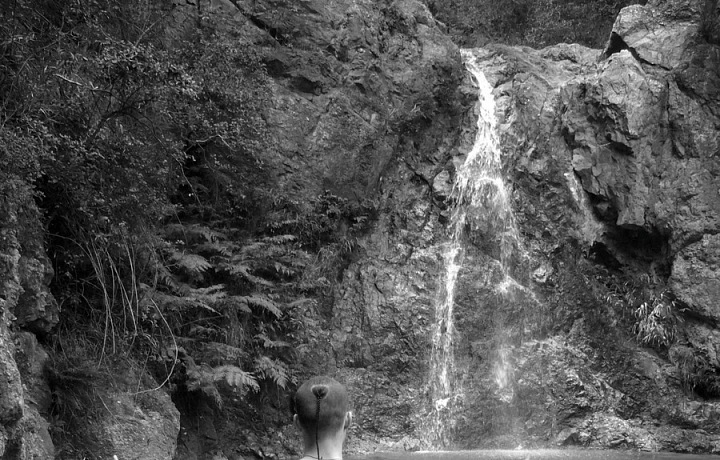 Pavel Macek v Číně roku 2009 během vnitřních dechových cvičení