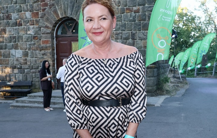 Jolana Voldánová