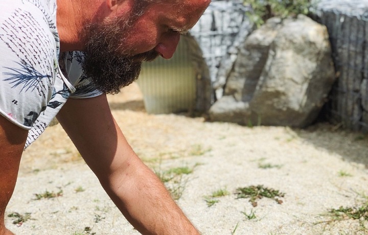 Želvy Josefa Maršálka 