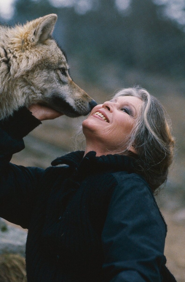 Brigitte Bardot s vlkem