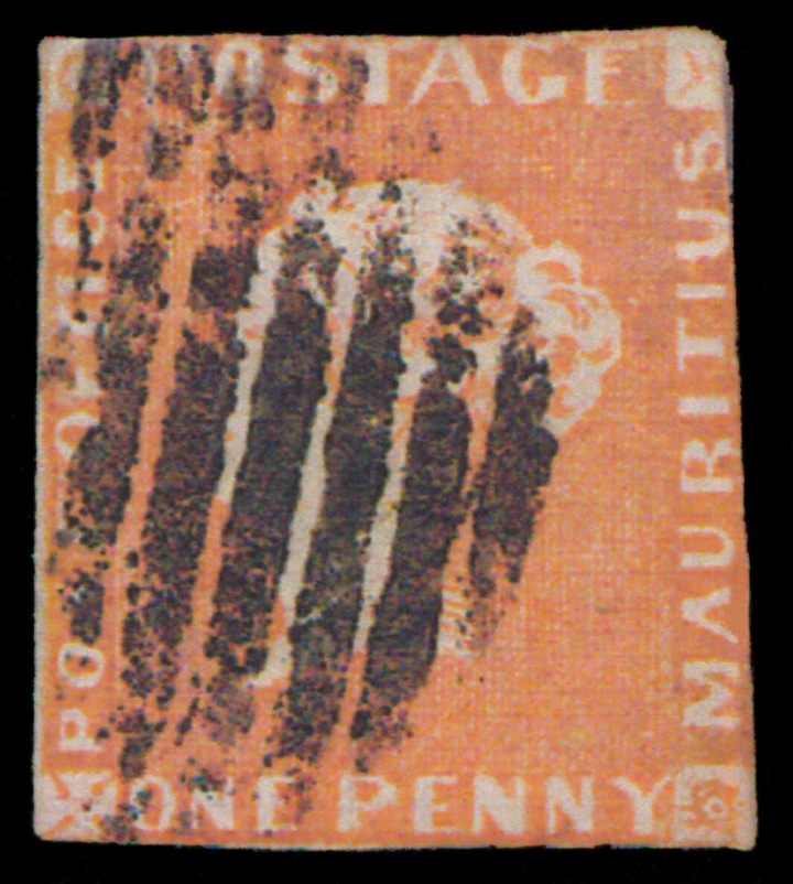 Červený mauritius. 