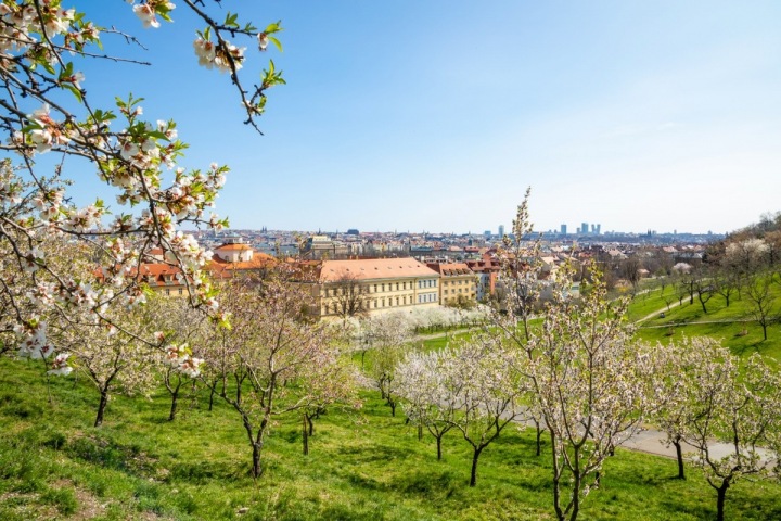 Jaro na Petříně