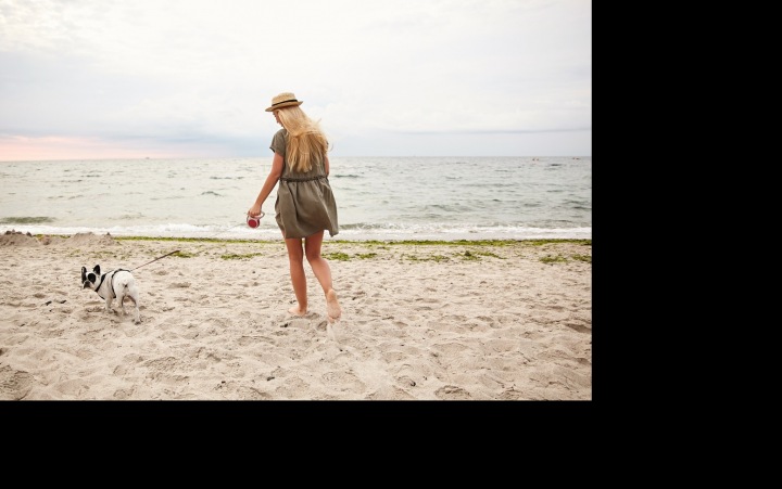 Dovolená s mazlíčkem