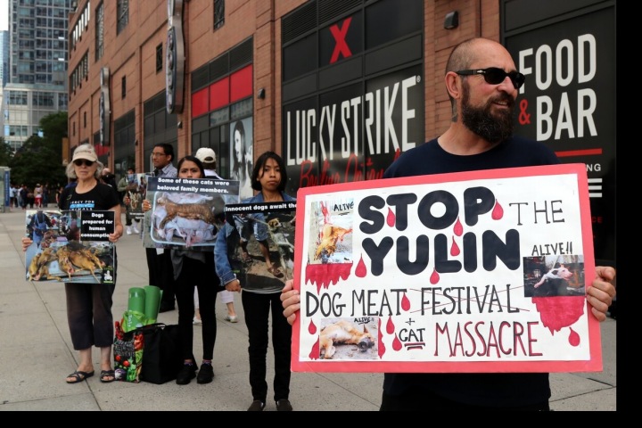 Protesty proti Festivalu psího masa.