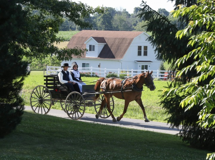  Amišská komunita