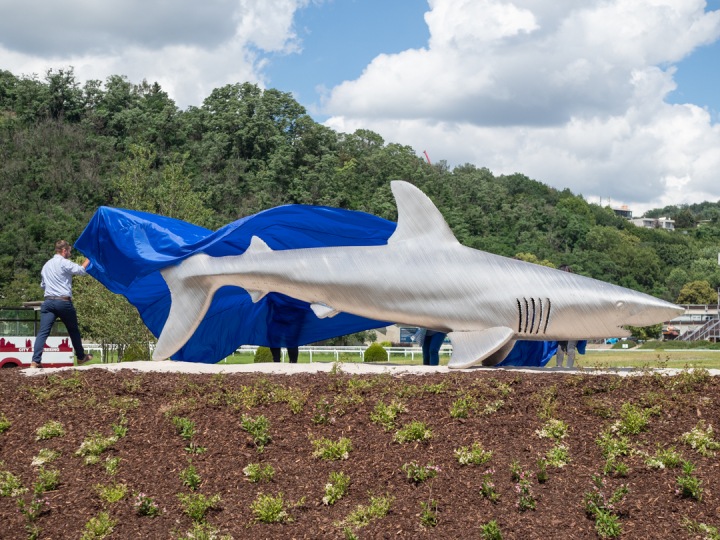 Socha ocelového žraloka.
