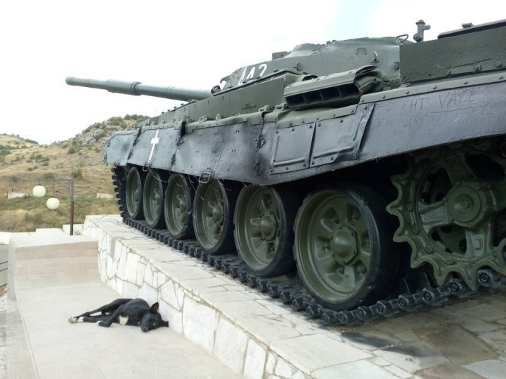 Tank a pes ležící vedle