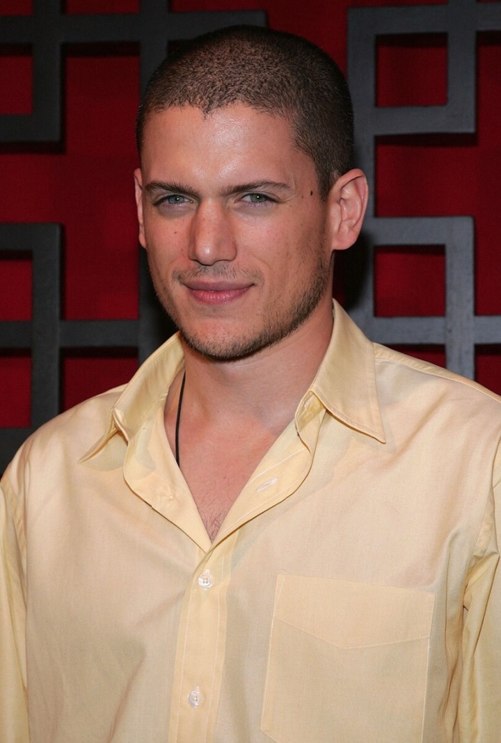 Wentworth Miller 